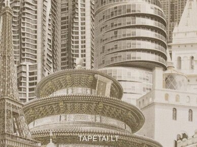 Tapetai 920AS20 1