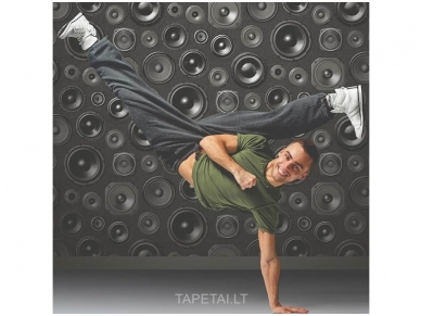 Tapetai 96609 2