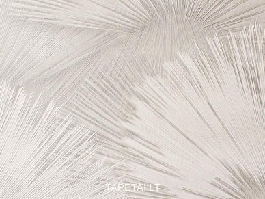 Tapetai 977806 1 Tapetai 977806 1