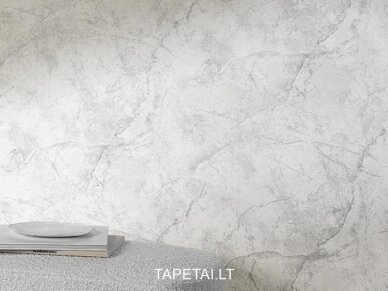 Tapetai A78001 3