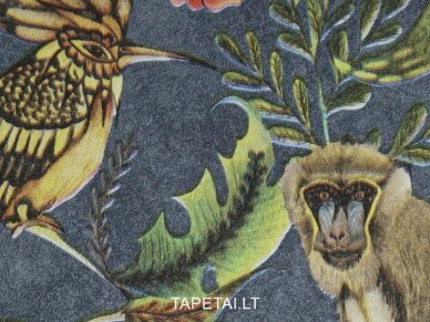 Tapetai EE22535 1