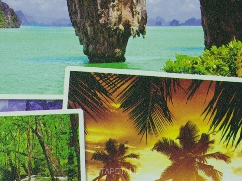 Tapetai 81304 1 Tapetai 81304 1