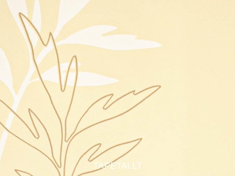 Tapetai 5172-30 1 Tapetai 5172-30 1