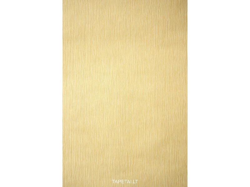 Tapetai 05537-50 Tapetai 05537-50