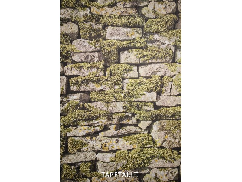 Tapetai 35809-1 Tapetai 35809-1