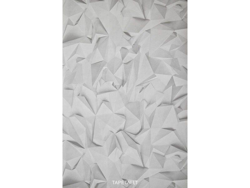 Tapetai 42097-10 Tapetai 42097-10