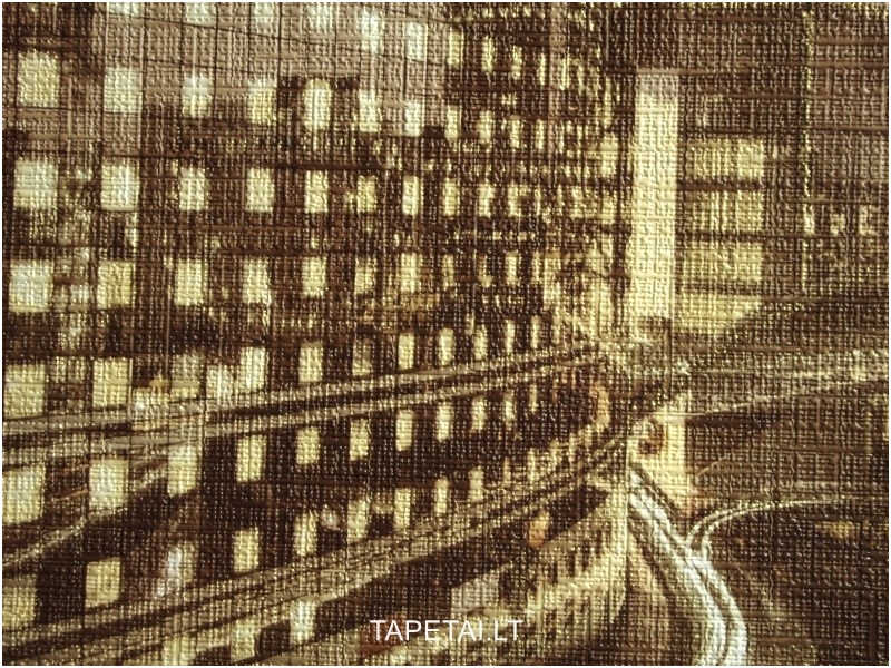 Tapetai 487-12 1