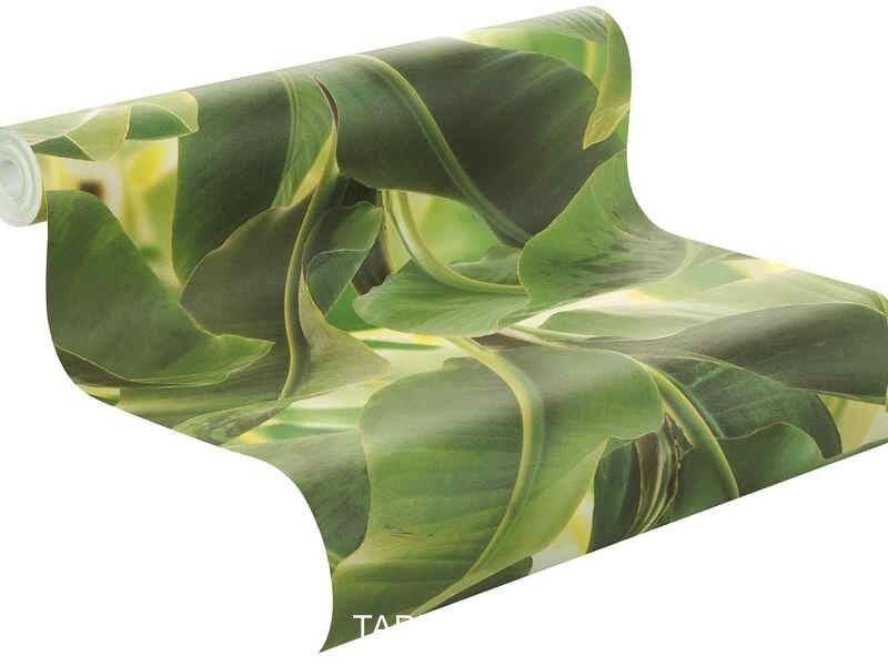 Tapetai 473407 2