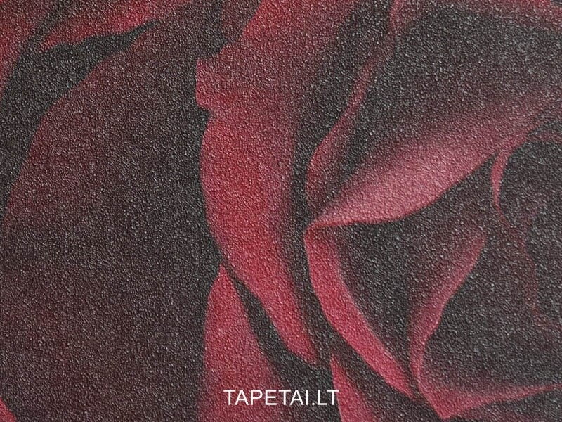Tapetai 933208 1