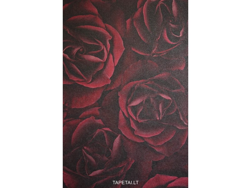 Tapetai 933208