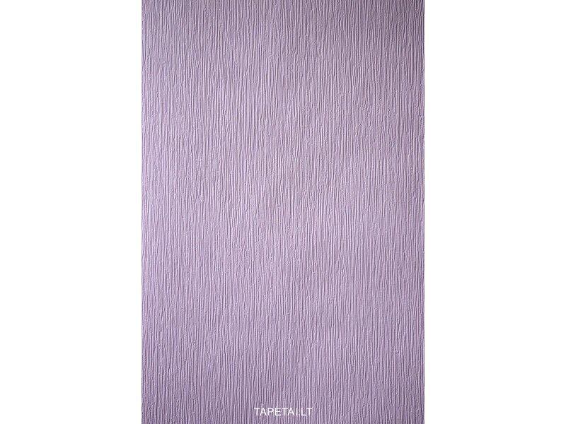 Tapetai 55308