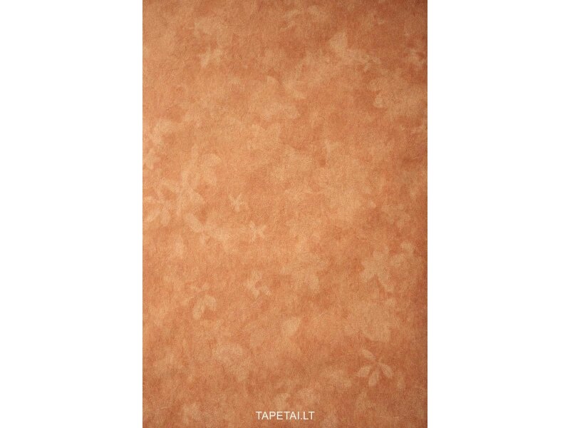 Tapetai 5523-58 Tapetai 5523-58