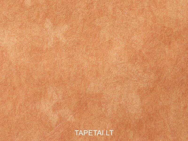 Tapetai 5523-58 1 Tapetai 5523-58 1