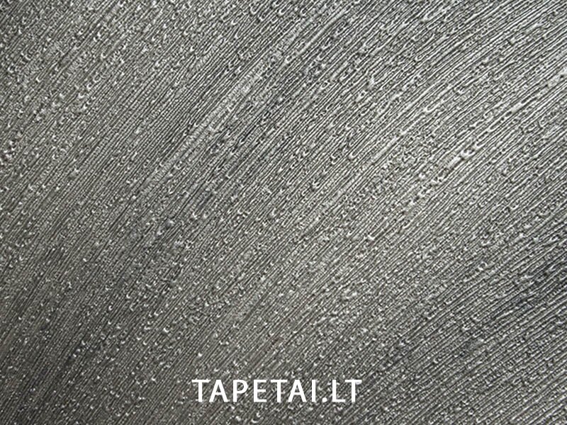 Tapetai 56309 1 Tapetai 56309 1