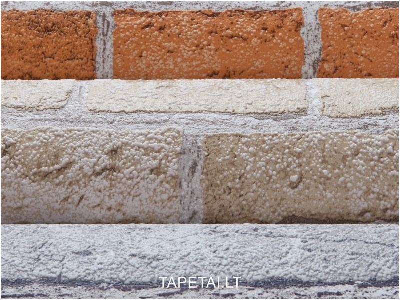Tapetai 583-20 3