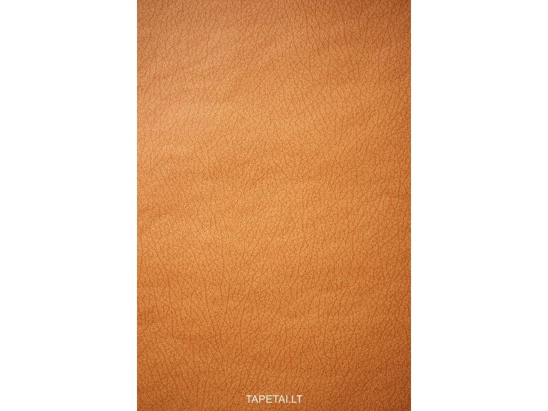 Tapetai 760057 Tapetai 760057