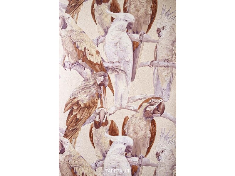 Tapetai 823615 Tapetai 823615