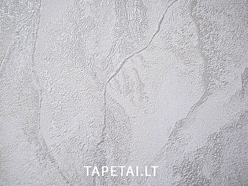Tapetai 421ST20 1