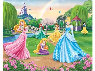 WALLTASTIC fototapetai Disney Princess
