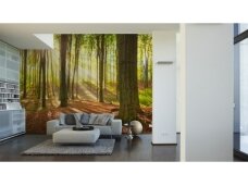 XXL2 fototapetai 470302 XXL XXL2 fototapetai 470302 XXL
