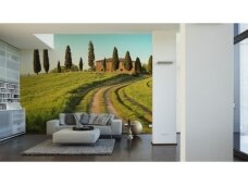 XXL2 fototapetai 470311 XXL XXL2 fototapetai 470311 XXL