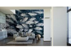 XXL2 fototapetai 470338 XL
