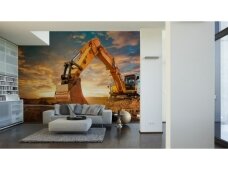 XXL2 fototapetai 470348 L XXL2 fototapetai 470348 L