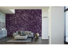 XXL2 fototapetai 470383 XL