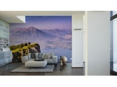 XXL2 fototapetai 470384 XL