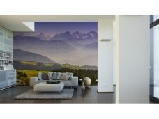 XXL2 fototapetai 470385 XL