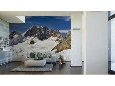 XXL2 fototapetai 470386 XL