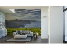XXL2 fototapetai 470389 XL