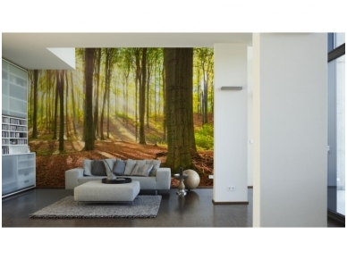 XXL2 fototapetai 470302 M 1