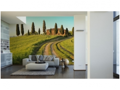 XXL2 fototapetai 470311 L 1