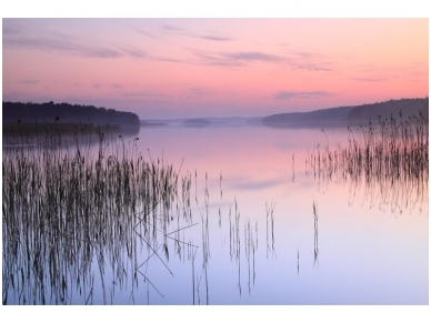 XXL2 fototapetai 470313 M