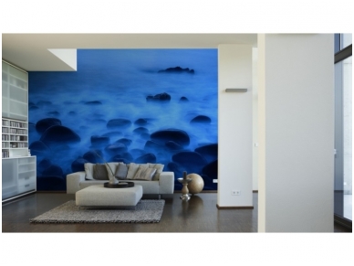 XXL2 fototapetai 470314 L 1