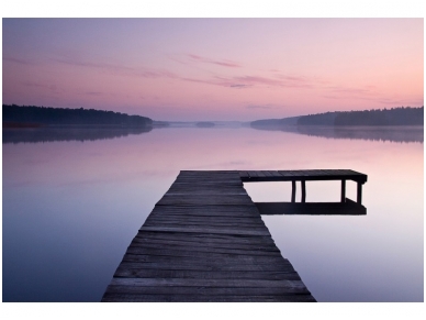 XXL2 fototapetai 470315 L