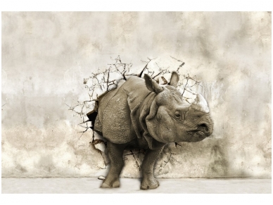 XXL2 fototapetai 470318 XL XXL2 fototapetai 470318 XL