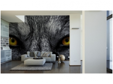 XXL2 fototapetai 470319 XL 1