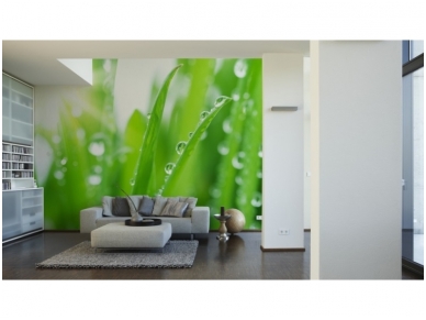 XXL2 fototapetai 470320 L 1