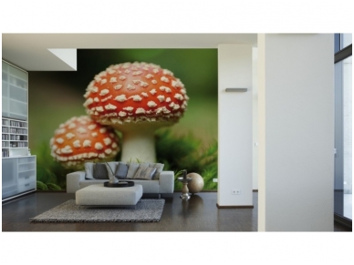 XXL2 fototapetai 470321 M 1