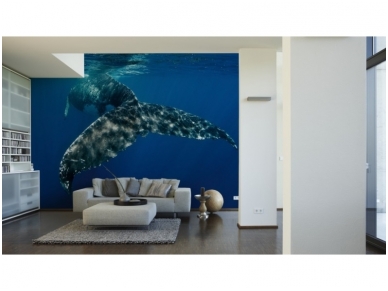 XXL2 fototapetai 470336 L 1