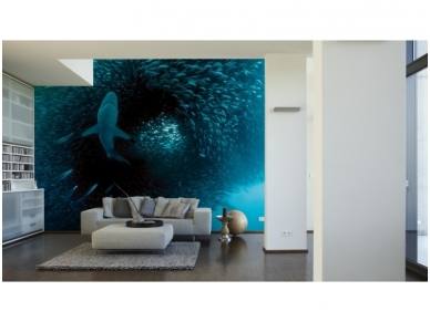 XXL2 fototapetai 470337 M 1