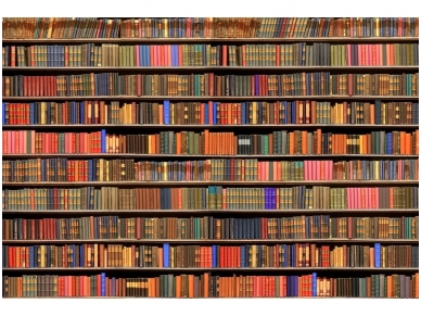 XXL2 fototapetai 470341 XL
