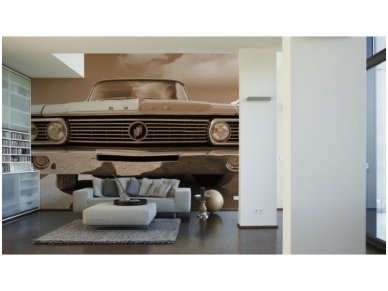 XXL2 fototapetai 470349 L 1