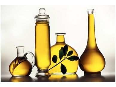 XXL2 fototapetai 470356 XL