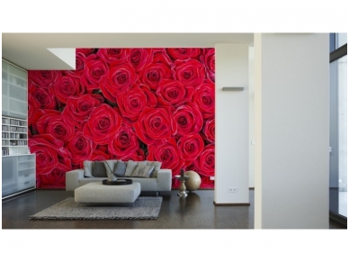 XXL2 fototapetai 470357 XL 1