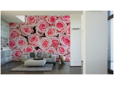 XXL2 fototapetai 470359 XL 1