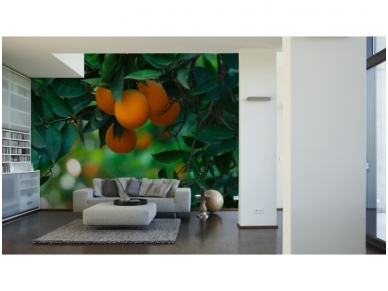 XXL2 fototapetai 470362 XL 1