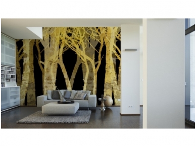 XXL2 fototapetai 470364 L 1